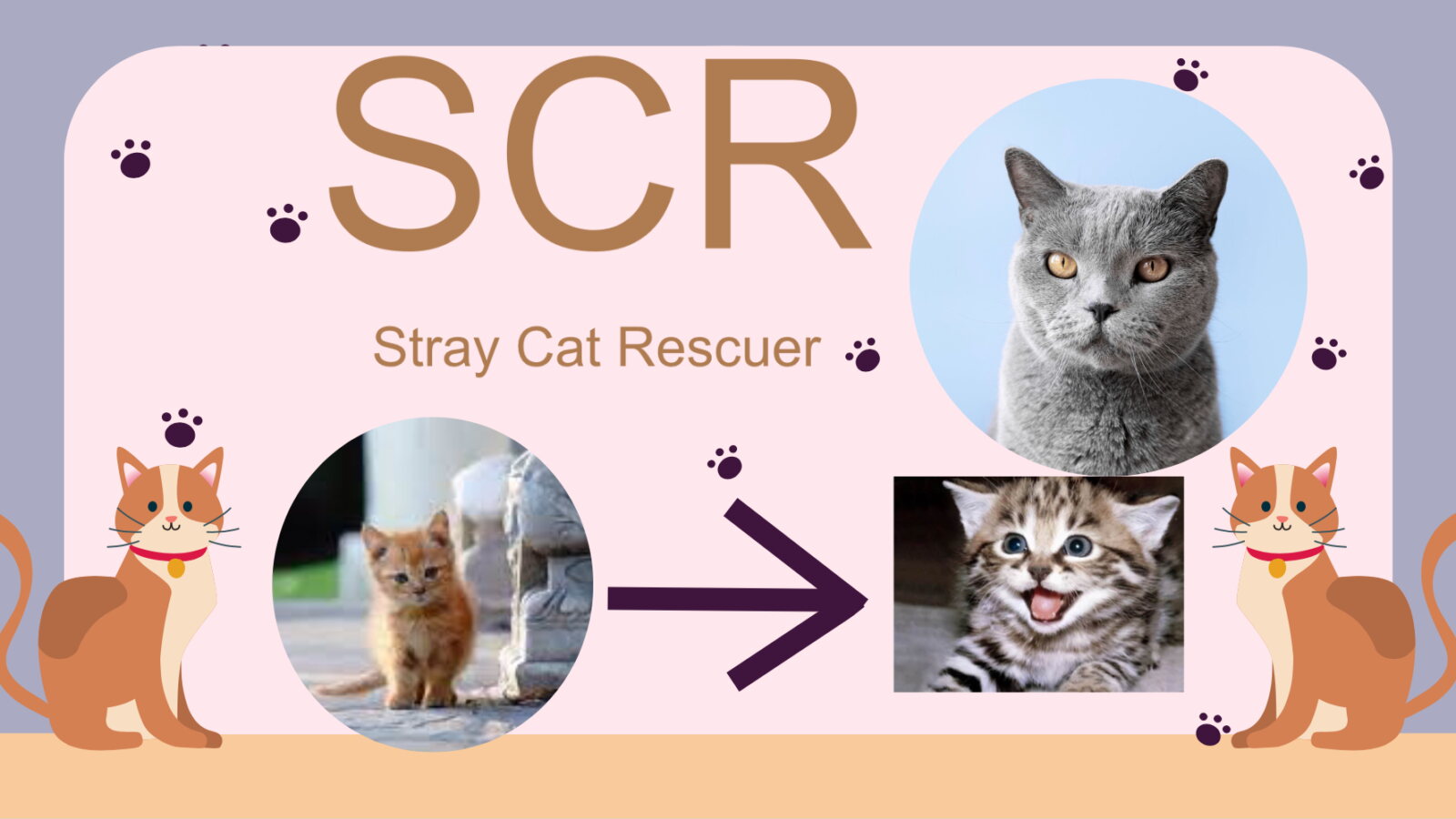 DSP_041513_SCR(Stray Cat Rescuer)