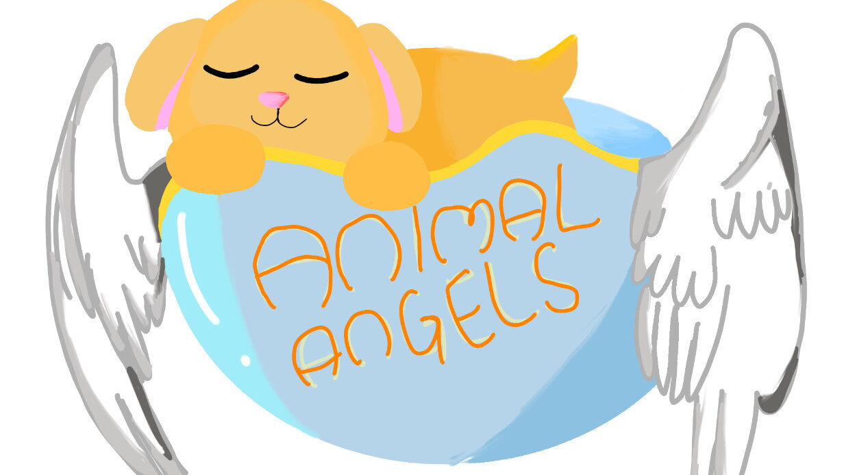 Animal Angels