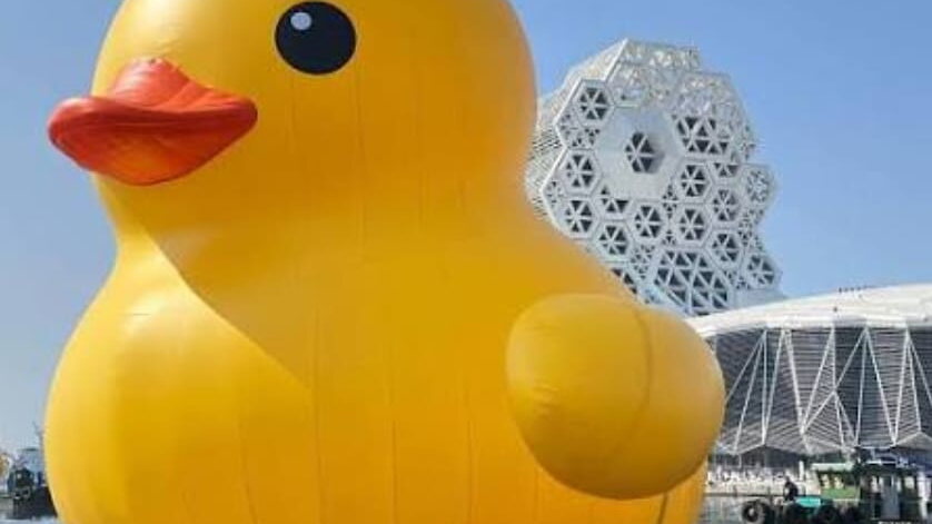 DSP_041502 小鴨團= (小運動員壓力管理團的簡稱)